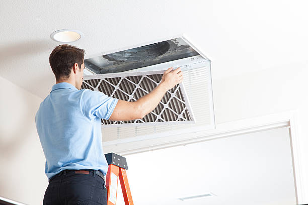 Best Local HVAC companies  in Mill Hall, PA